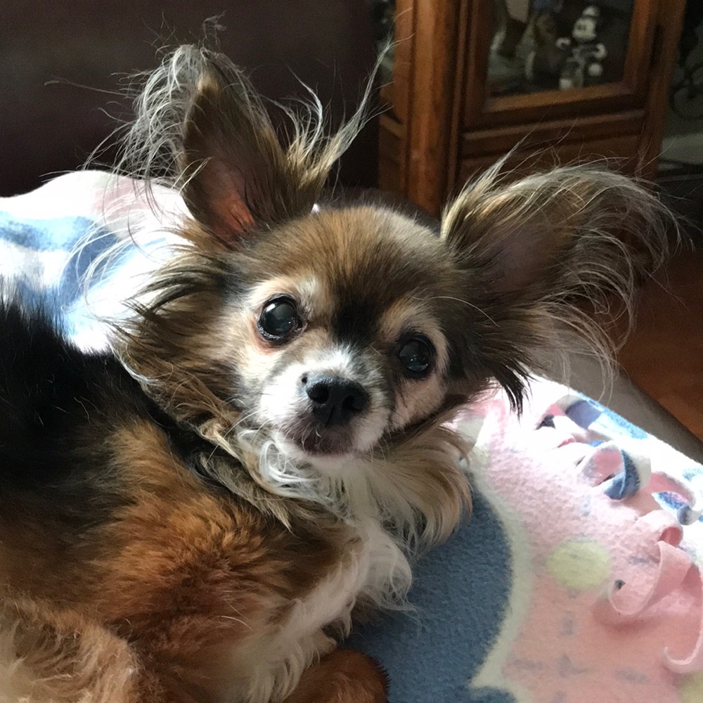 Meet your Posher, Jan